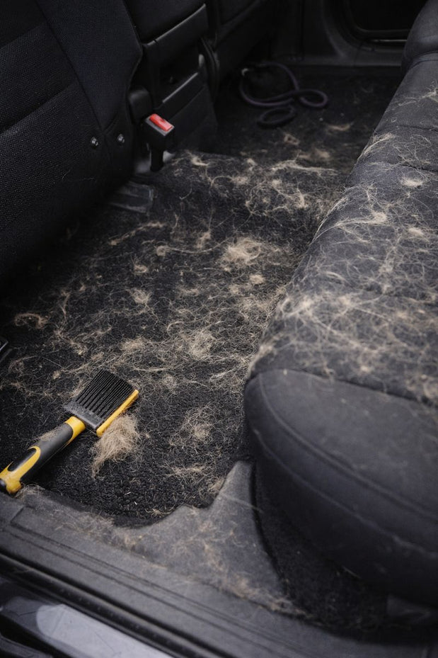 Élimination des poils d’animaux (habitacle)